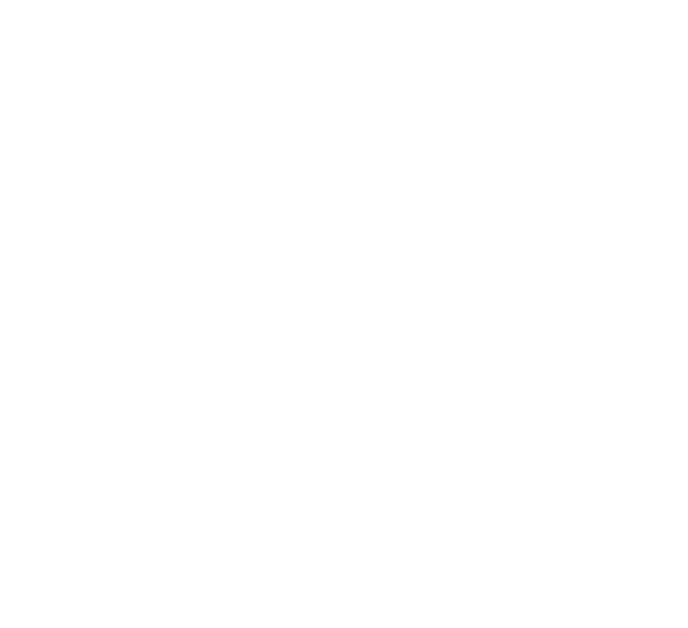Logo senadis footer